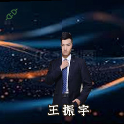 王振宇
